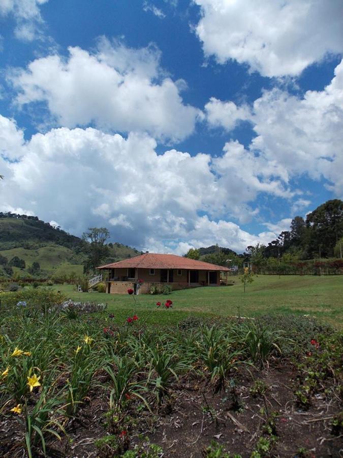 Flores Gonçalves